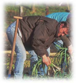 un jardinier qualifi