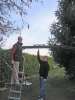 JARDINAGE, BRICOLAGE