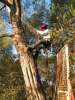 JARDINAGE, BATIMENT, SERVEUR
